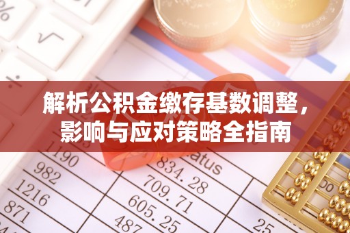 邱县解析公积金缴存基数调整，影响与应对策略全指南