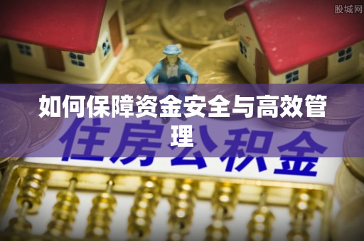 邱县如何保障资金安全与高效管理