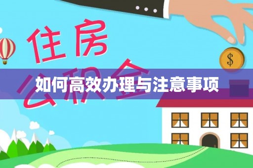 邱县如何高效办理与注意事项