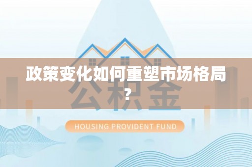 邱县政策变化如何重塑市场格局？