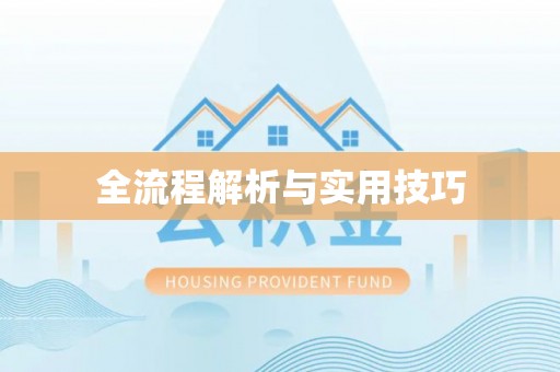 邱县全流程解析与实用技巧