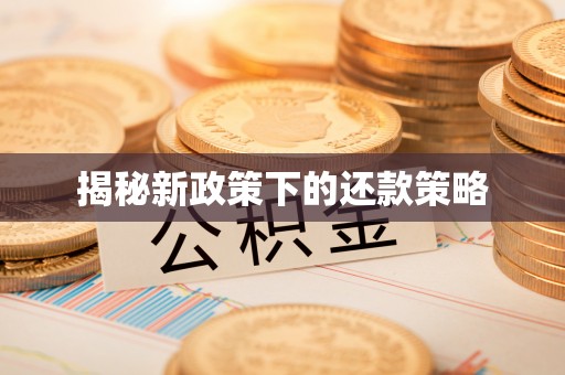 邱县揭秘新政策下的还款策略