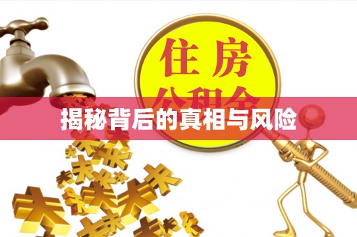 邱县揭秘背后的真相与风险