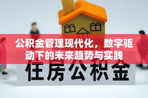 邱县公积金管理现代化，数字驱动下的未来趋势与实践