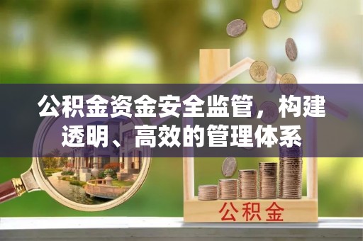邱县公积金资金安全监管，构建透明、高效的管理体系