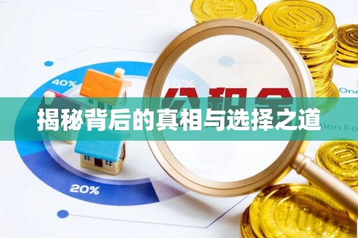 邱县揭秘背后的真相与选择之道