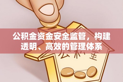 邱县公积金资金安全监管，构建透明、高效的管理体系
