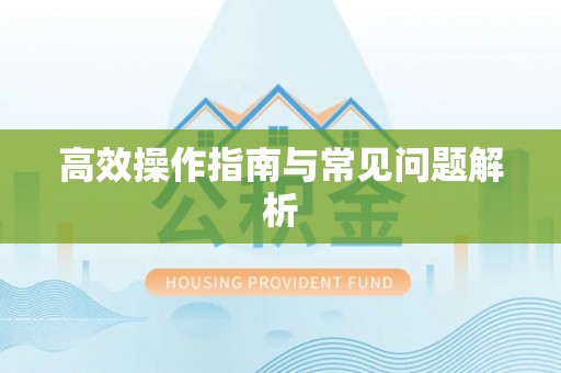邱县高效操作指南与常见问题解析