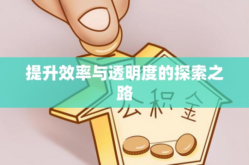 邱县提升效率与透明度的探索之路