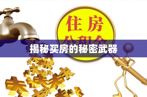 邱县揭秘买房的秘密武器