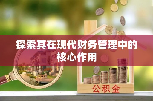 邱县探索其在现代财务管理中的核心作用