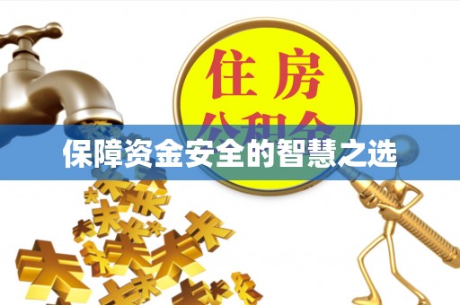 邱县保障资金安全的智慧之选