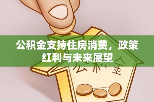 邱县公积金支持住房消费，政策红利与未来展望
