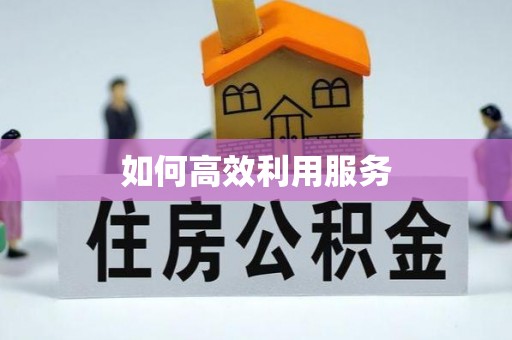 邱县如何高效利用服务
