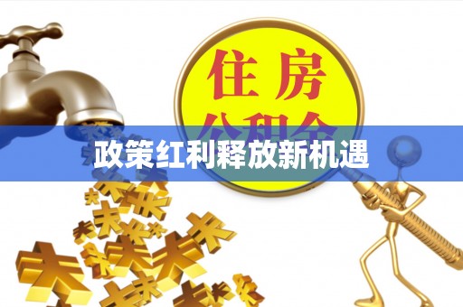 邱县政策红利释放新机遇