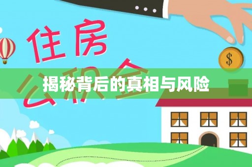 邱县揭秘背后的真相与风险