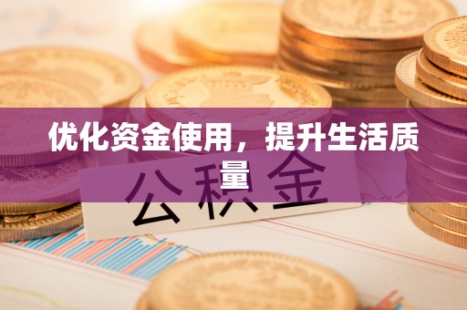 邱县优化资金使用，提升生活质量