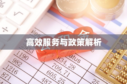 邱县高效服务与政策解析