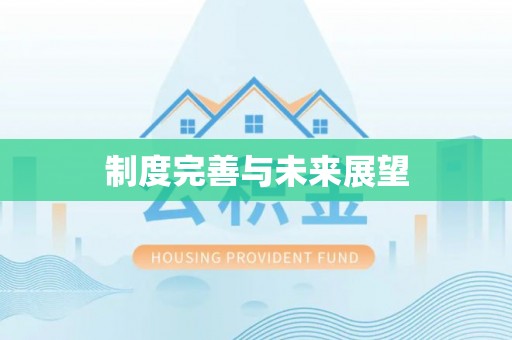 邱县制度完善与未来展望