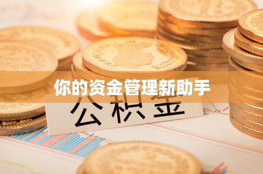 邱县你的资金管理新助手