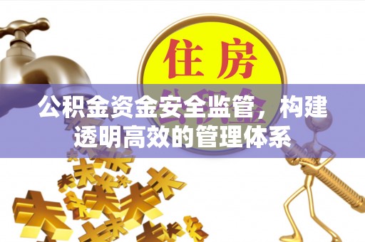邱县公积金资金安全监管，构建透明高效的管理体系