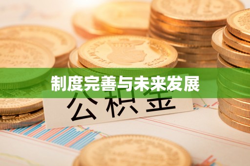 邱县制度完善与未来发展