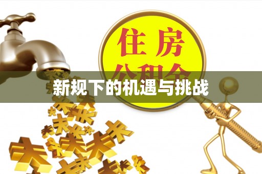 邱县新规下的机遇与挑战