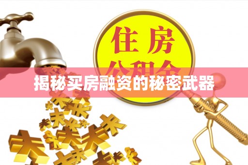 邱县揭秘买房融资的秘密武器