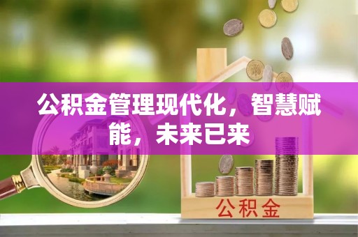 邱县公积金管理现代化，智慧赋能，未来已来
