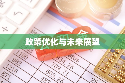 邱县政策优化与未来展望