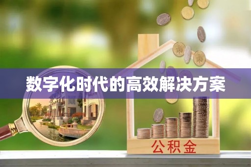 邱县数字化时代的高效解决方案