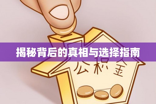 邱县揭秘背后的真相与选择指南