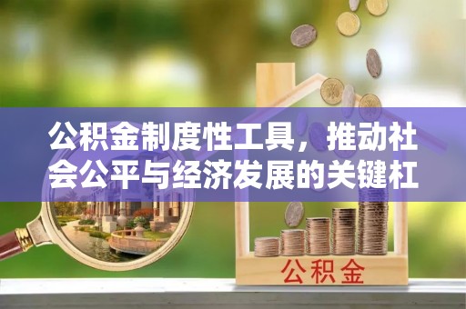 邱县公积金制度性工具，推动社会公平与经济发展的关键杠杆