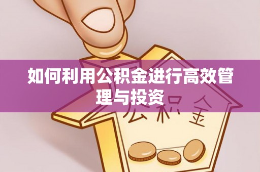 邱县如何利用公积金进行高效管理与投资