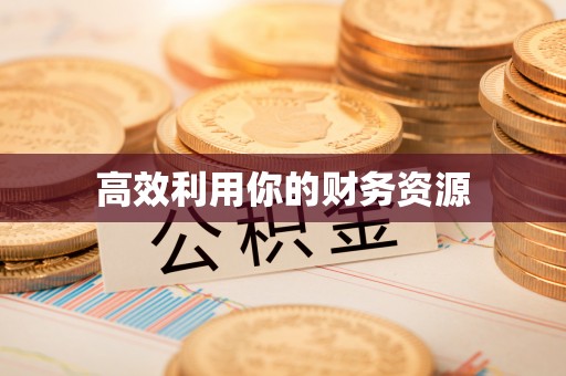 邱县高效利用你的财务资源