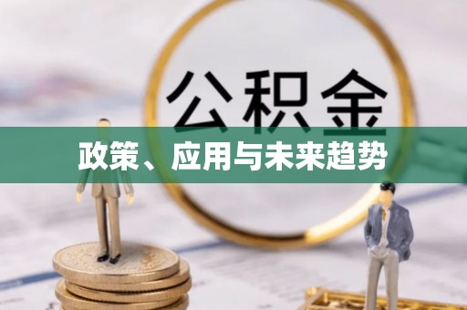 邱县政策、应用与未来趋势