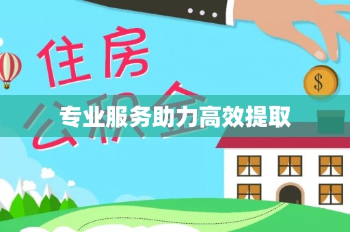 邱县专业服务助力高效提取