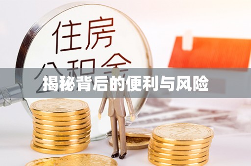 邱县揭秘背后的便利与风险